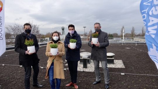 Dachbegrünung Betriebshof Stadtwerke Bochum in Hamme (Projekt "Klimaresiliente Region" der Ruhrkonferenz)