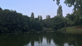 Teich im Stadtpark Bochum