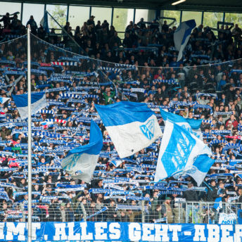 VfL Bochum: Fans im Ruhrstadion