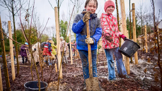 Pflanzaktion „Tiny Forest“: Bürgerinnen und Bürger beteiligten sich an der Pflanzung von tausenden Setzlingen für ein neues Stadtwäldchen in Bochum. Ziel der Aktion ist es, einen klimaresilienten Miniwald entstehen zu lassen.