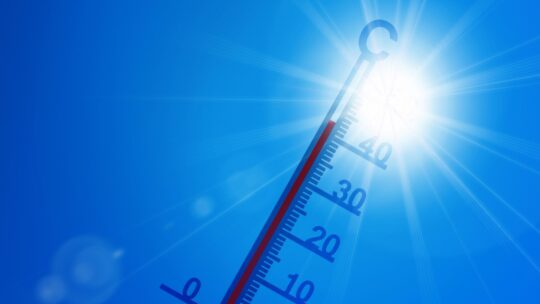 Thermometer (Symbolbild)